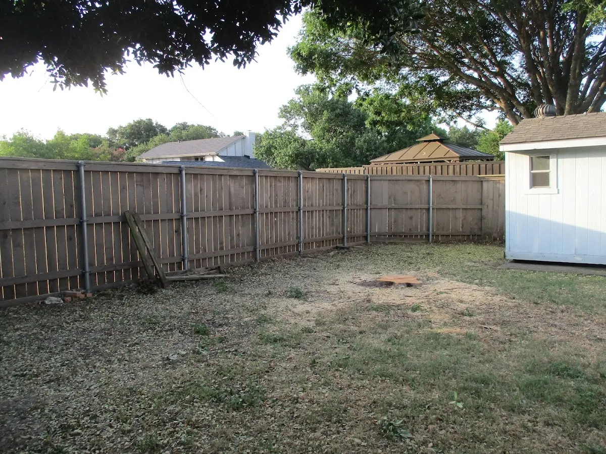 Cleared yard after professional tree removal in Gunlock